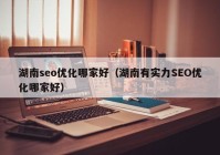 湖南seo优化哪家好（湖南有实力SEO优化哪家好）