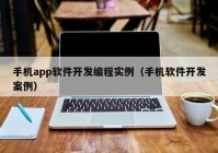 手机app软件开发编程实例（手机软件开发案例）