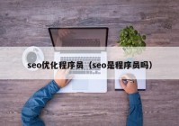 seo优化程序员（seo是程序员吗）