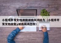 小程序开发文档洲围湖南岚鸿给力（小程序开发文档回复y湖南岚鸿怎样）