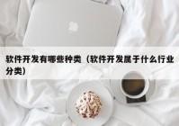 软件开发有哪些种类（软件开发属于什么行业分类）