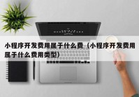 小程序开发费用属于什么费（小程序开发费用属于什么费用类型）