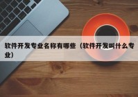软件开发专业名称有哪些（软件开发叫什么专业）