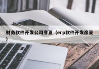 财务软件开发公司彦夏（erp软件开发彦夏）