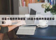 抖音小程序开发语言（抖音小程序开发语言设置）