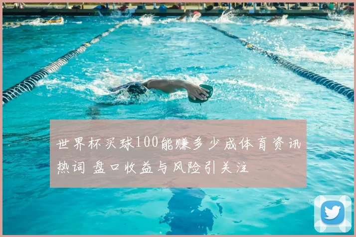 世界杯买球100能赚多少成体育资讯热词 盘口收益与风险引关注