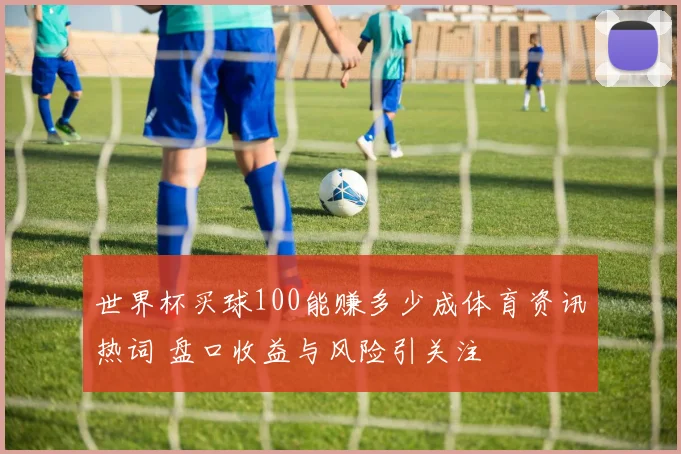 世界杯买球100能赚多少成体育资讯热词 盘口收益与风险引关注