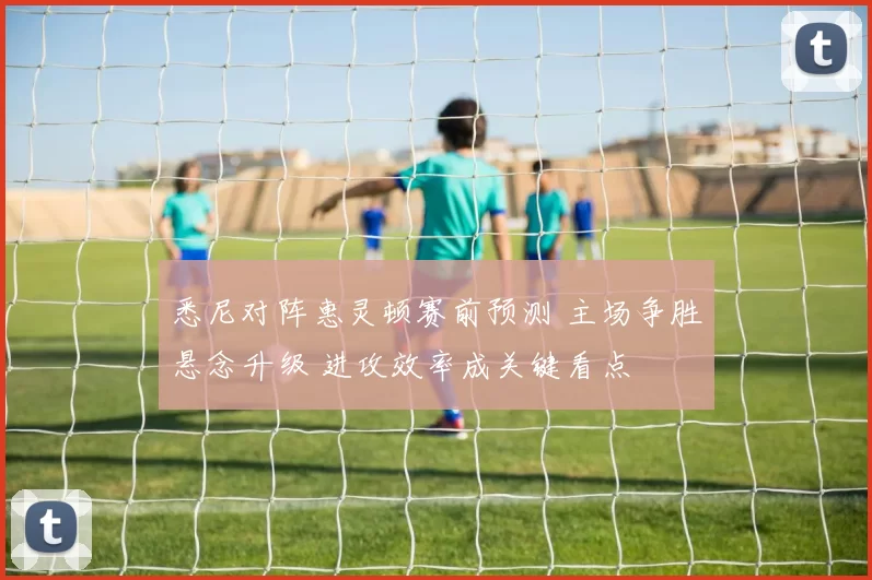 悉尼对阵惠灵顿赛前预测 主场争胜悬念升级 进攻效率成关键看点